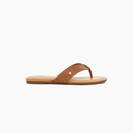 UGG Tuolumne Brown Flip Flops for Women (IWQY85923)